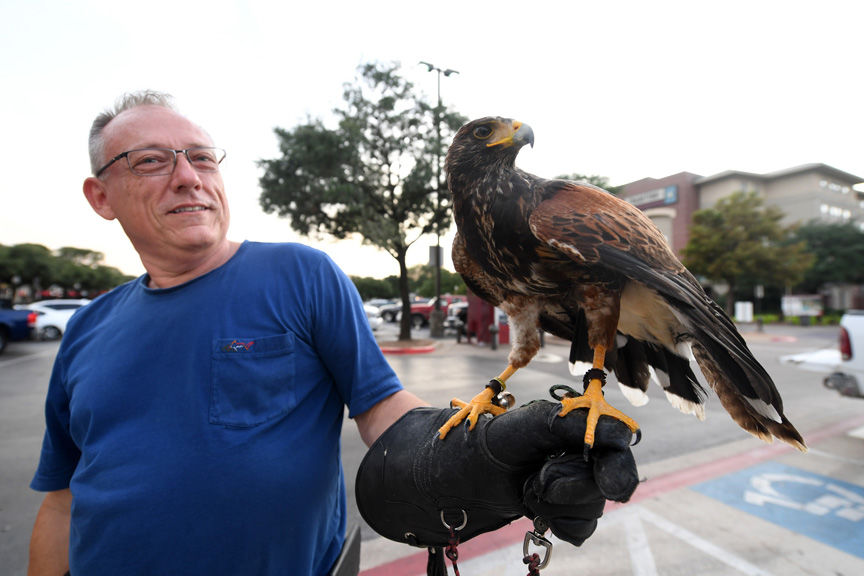 Bird removal at Northgate